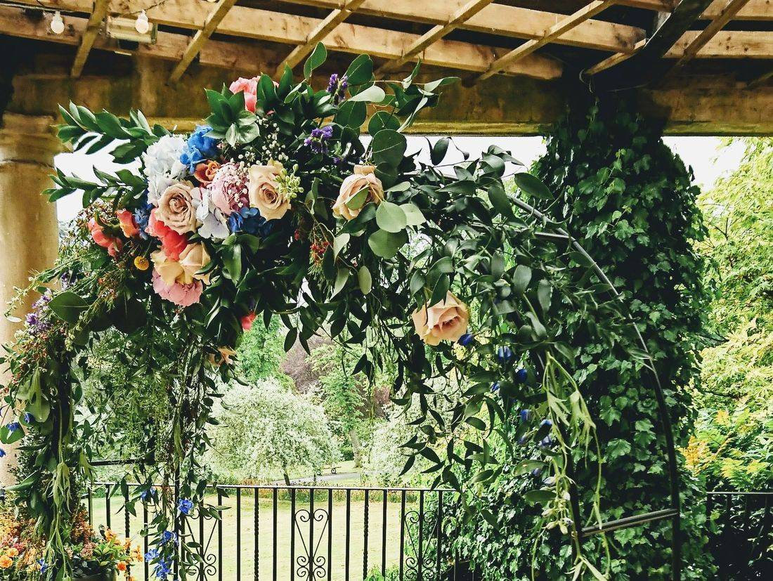 Wild Flowers of Harrogate arrangement